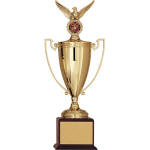 Cups & Awards