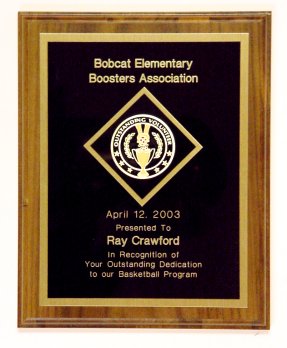 boosterssample.jpg (23105 bytes)