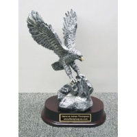 7" Eagle Award on rock  #BPEA7