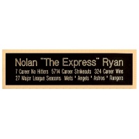 2.5 x 8.5 Three Line Super Plate Black Metal With Brass Letters on Brass Color Backing Plate