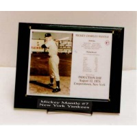 8X10 Deluxe Photo Plaque Kit Holds Horizontal or Vertical Photo - 10.5X13 Plaque Fits an 8X10 Photo 2 Line Engraved Nameplate