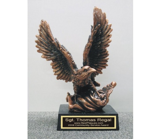 10" Eagle Award with Flag FREE ENGRAVING