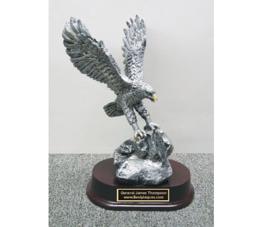 7" Eagle Award on rock  #BPEA7