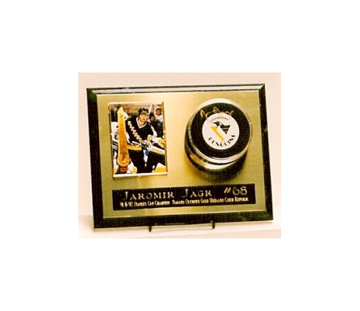 Puck & Card Assembled Plaque - Item #MRP1