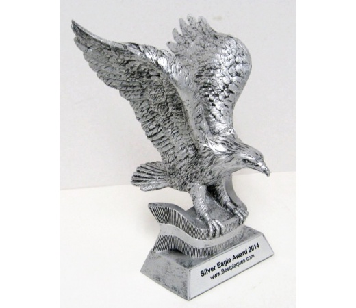 10" Silver Eagle Award - with Flag FREE ENGRAVING